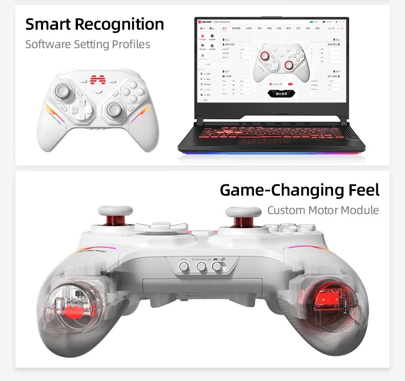 BEITONG Pangu コントローラーモジュールフルセット BEITONG PanGu Custom Modular Controller – Swappable Joysticks, D